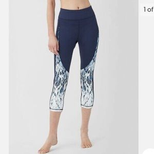 ✅✅Splendid Academy Navy & Snake Contrast Ombré Capri Leggings